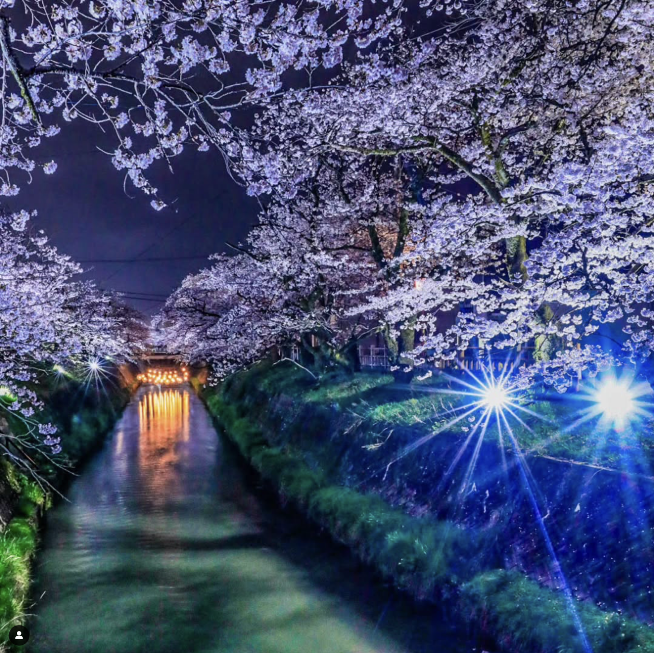 令和7年度フォトコン最優秀賞